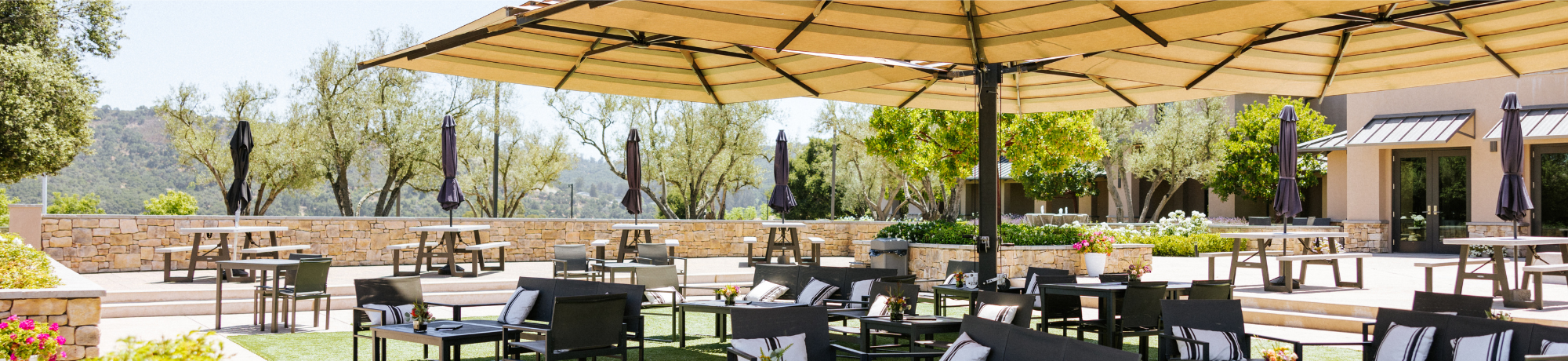 Edna Valley Wine Tastings